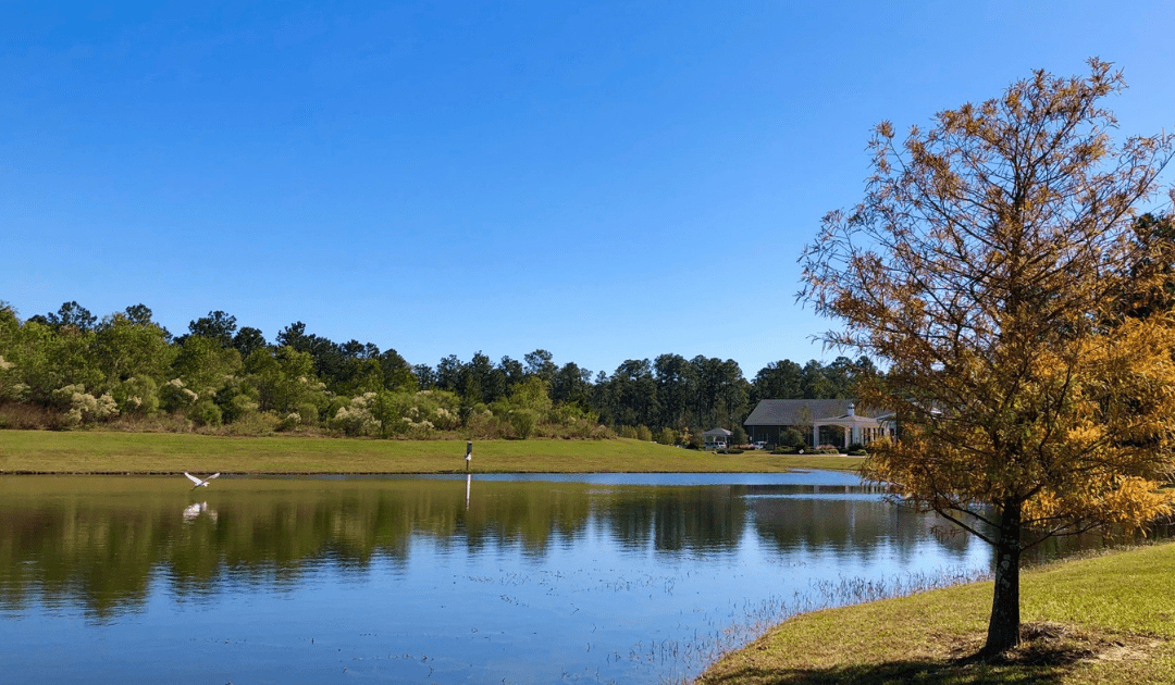 6 Key Considerations For Your Life Plan Decision Process