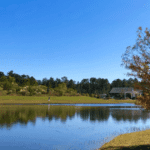 Christwood pond with egret in flight