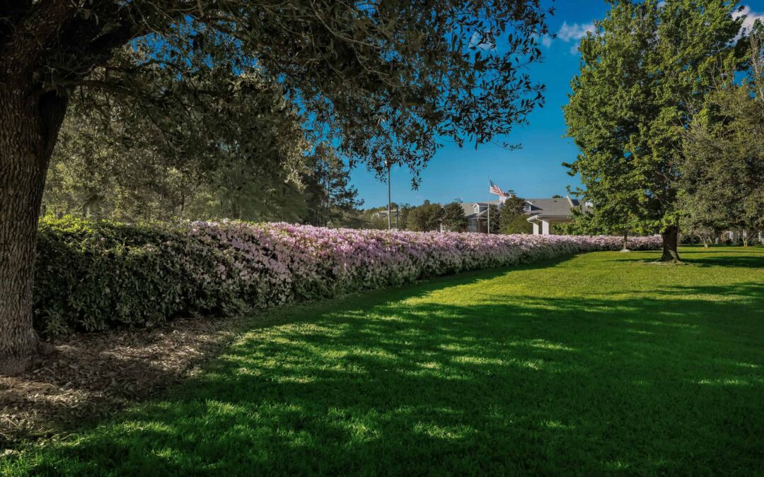 Understanding the Basics of Senior Living and Retirement Communities