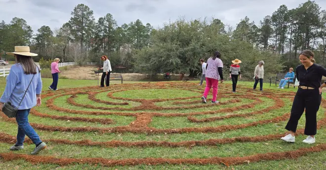 Several people enjoying an outdoor activity