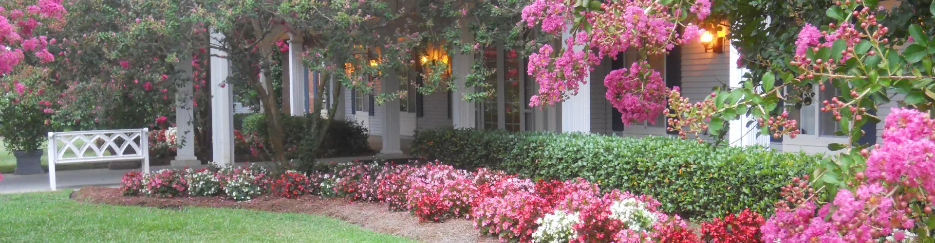 Outdoor view of apartments