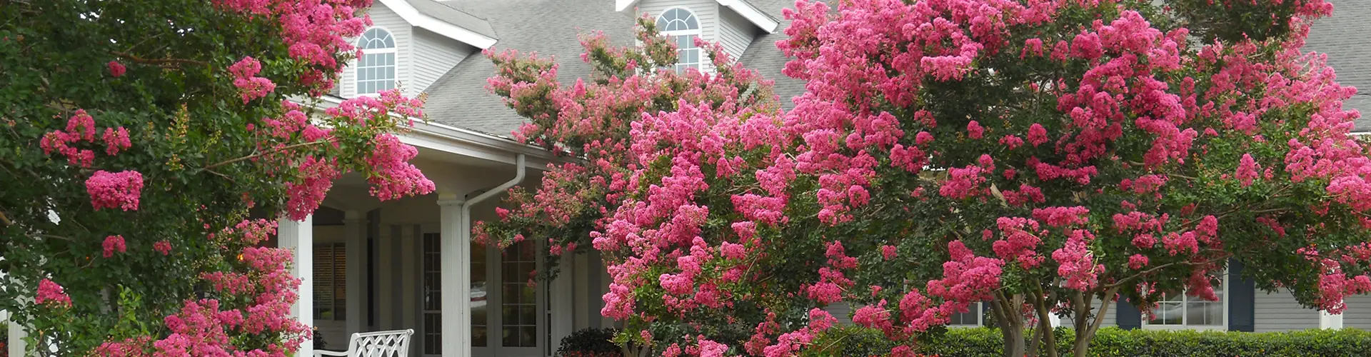 Thank you page hero image