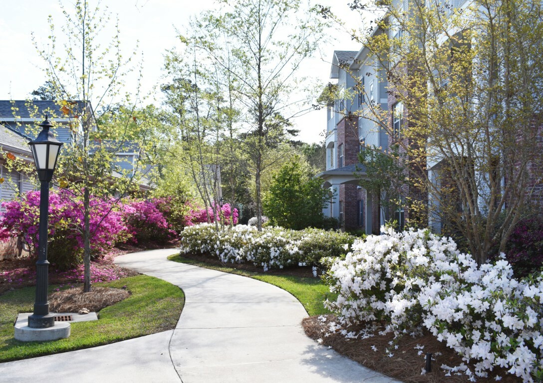 Cw in Spring 2019 (52) (Medium)